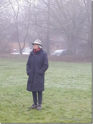 Gosmore Green 13.jpg